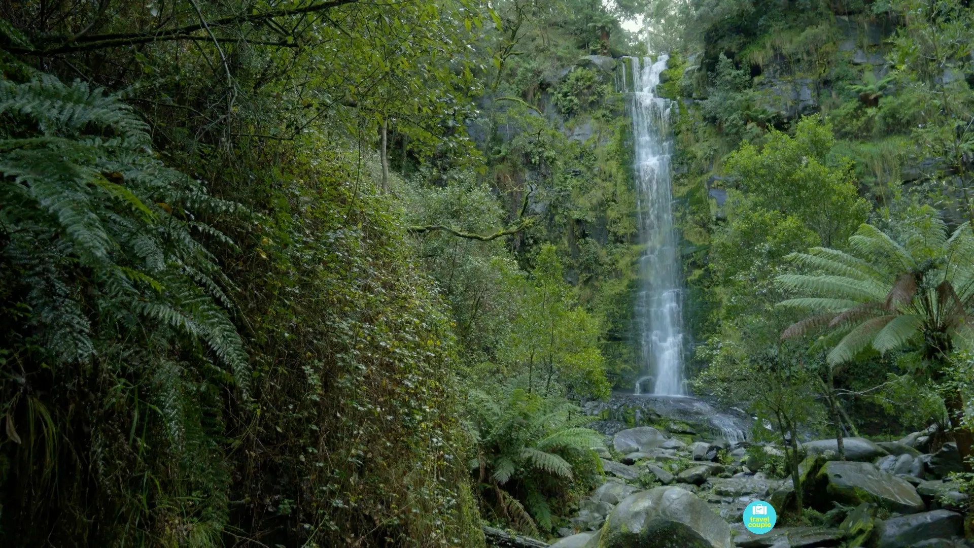 Erskine Falls surrounded by ferns and rainforest near Lorne