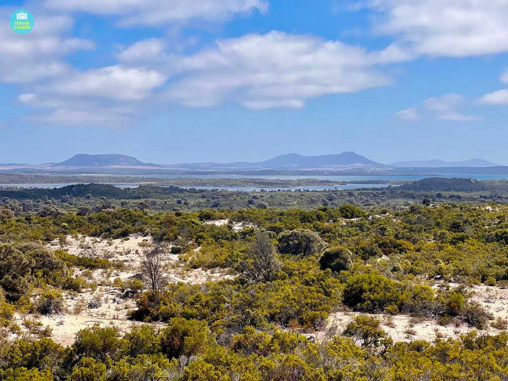 Templetonia Lookout